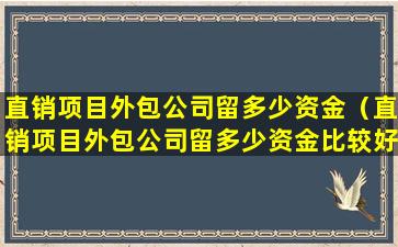 直销项目外包公司留多少资金（直销项目外包公司留多少资金比较好）