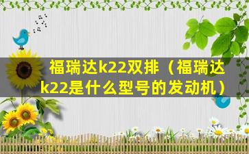 福瑞达k22双排（福瑞达k22是什么型号的发动机）