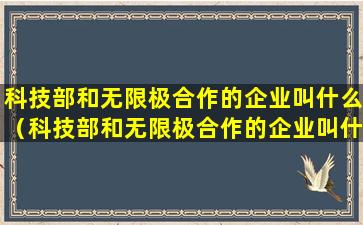 科技部和无限极合作的企业叫什么（科技部和无限极合作的企业叫什么来着）