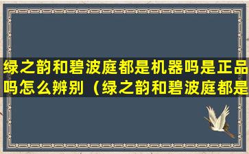 绿之韵和碧波庭都是机器吗是正品吗怎么辨别（绿之韵和碧波庭都是机器吗是正品吗怎么辨别真假）