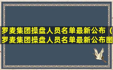 罗麦集团操盘人员名单最新公布（罗麦集团操盘人员名单最新公布图片）