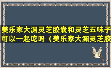 美乐家大渊灵芝胶囊和灵芝五味子可以一起吃吗（美乐家大渊灵芝胶囊和灵芝五味子区别）