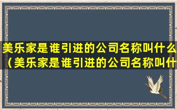 美乐家是谁引进的公司名称叫什么（美乐家是谁引进的公司名称叫什么来着）