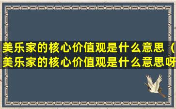 美乐家的核心价值观是什么意思（美乐家的核心价值观是什么意思呀）