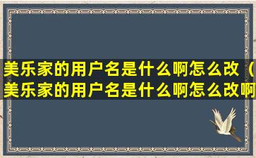 美乐家的用户名是什么啊怎么改（美乐家的用户名是什么啊怎么改啊）