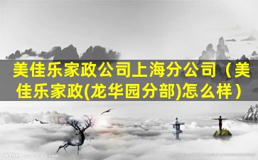 美佳乐家政公司上海分公司（美佳乐家政(龙华园分部)怎么样）