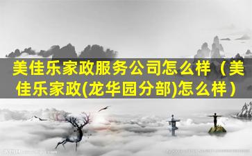 美佳乐家政服务公司怎么样（美佳乐家政(龙华园分部)怎么样）