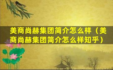 美商尚赫集团简介怎么样（美商尚赫集团简介怎么样知乎）