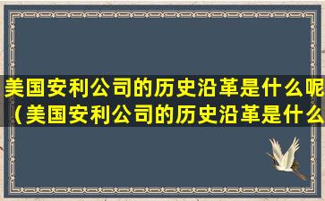 美国安利公司的历史沿革是什么呢（美国安利公司的历史沿革是什么呢英文）