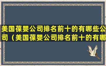 美国葆婴公司排名前十的有哪些公司（美国葆婴公司排名前十的有哪些公司名称）