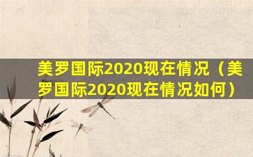 美罗国际2020现在情况（美罗国际2020现在情况如何）