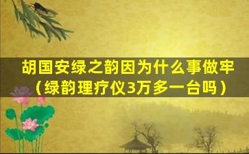 胡国安绿之韵因为什么事做牢（绿韵理疗仪3万多一台吗）