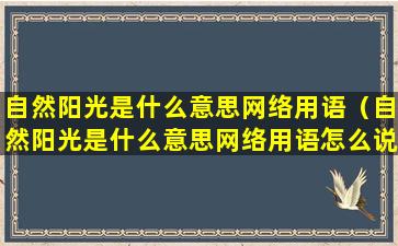 自然阳光是什么意思网络用语（自然阳光是什么意思网络用语怎么说）