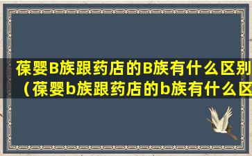 葆婴B族跟药店的B族有什么区别（葆婴b族跟药店的b族有什么区别）