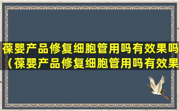 葆婴产品修复细胞管用吗有效果吗（葆婴产品修复细胞管用吗有效果吗怎么样）