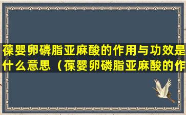 葆婴卵磷脂亚麻酸的作用与功效是什么意思（葆婴卵磷脂亚麻酸的作用与功效是什么意思啊）