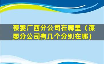 葆婴广西分公司在哪里（葆婴分公司有几个分别在哪）