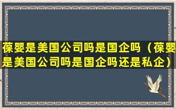 葆婴是美国公司吗是国企吗（葆婴是美国公司吗是国企吗还是私企）