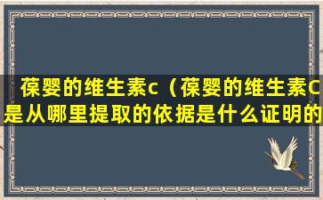 葆婴的维生素c（葆婴的维生素C是从哪里提取的依据是什么证明的原理）