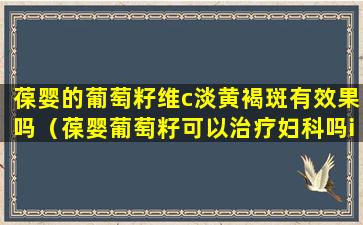 葆婴的葡萄籽维c淡黄褐斑有效果吗（葆婴葡萄籽可以治疗妇科吗ie）