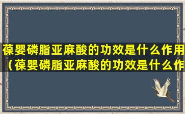 葆婴磷脂亚麻酸的功效是什么作用（葆婴磷脂亚麻酸的功效是什么作用和副作用）