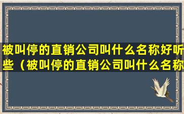 被叫停的直销公司叫什么名称好听些（被叫停的直销公司叫什么名称好听些呢）