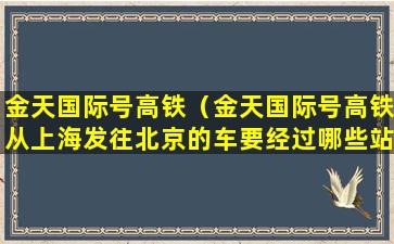 金天国际号高铁（金天国际号高铁从上海发往北京的车要经过哪些站）