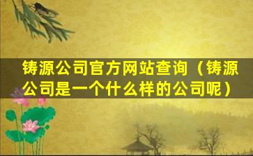 铸源公司官方网站查询（铸源公司是一个什么样的公司呢）