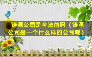 铸源公司是合法的吗（铸源公司是一个什么样的公司呢）