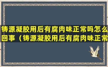 铸源凝胶用后有腐肉味正常吗怎么回事（铸源凝胶用后有腐肉味正常吗怎么回事啊）