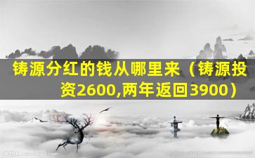 铸源分红的钱从哪里来（铸源投资2600,两年返回3900）