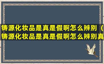 铸源化妆品是真是假啊怎么辨别（铸源化妆品是真是假啊怎么辨别真假）