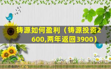 铸源如何盈利（铸源投资2600,两年返回3900）