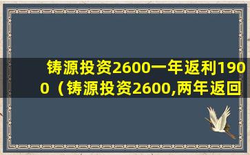 铸源投资2600一年返利1900（铸源投资2600,两年返回3900）