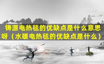 铸源电热毯的优缺点是什么意思呀（水暖电热毯的优缺点是什么）