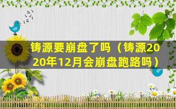 铸源要崩盘了吗（铸源2020年12月会崩盘跑路吗）