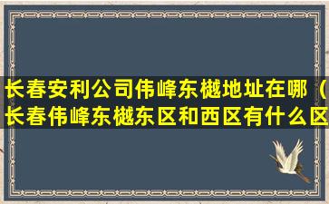 长春安利公司伟峰东樾地址在哪（长春伟峰东樾东区和西区有什么区别）