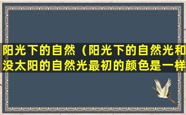 阳光下的自然（阳光下的自然光和没太阳的自然光最初的颜色是一样的吗）