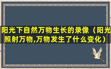 阳光下自然万物生长的录像（阳光照射万物,万物发生了什么变化）