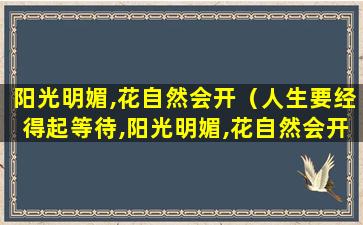 阳光明媚,花自然会开（人生要经得起等待,阳光明媚,花自然会开）