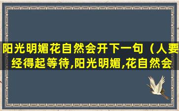 阳光明媚花自然会开下一句（人要经得起等待,阳光明媚,花自然会开）