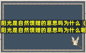 阳光是自然馈赠的意思吗为什么（阳光是自然馈赠的意思吗为什么呢）