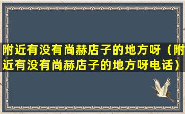 附近有没有尚赫店子的地方呀（附近有没有尚赫店子的地方呀电话）