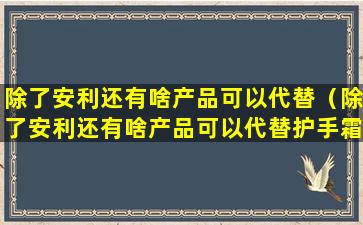 除了安利还有啥产品可以代替（除了安利还有啥产品可以代替护手霜）