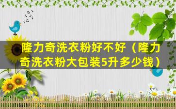 隆力奇洗衣粉好不好（隆力奇洗衣粉大包装5升多少钱）