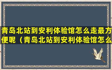 青岛北站到安利体验馆怎么走最方便呢（青岛北站到安利体验馆怎么走最方便呢多少钱）