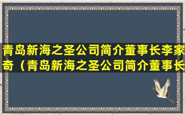 青岛新海之圣公司简介董事长李家奇（青岛新海之圣公司简介董事长李家奇是谁）